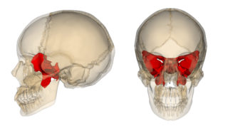 a9f243dfa72f1e252d63385b5d9cb0